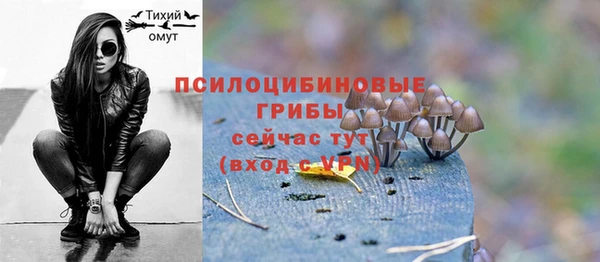 твердый Заводоуковск