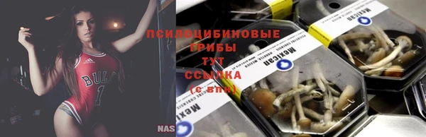 каннабис Заволжск
