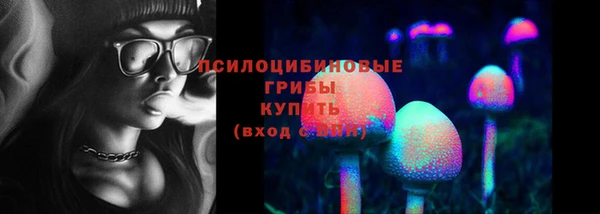 твердый Заводоуковск