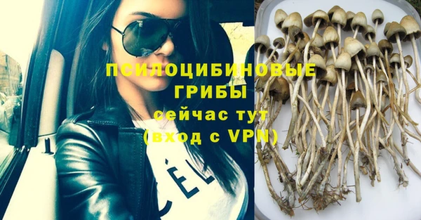 каннабис Заволжск
