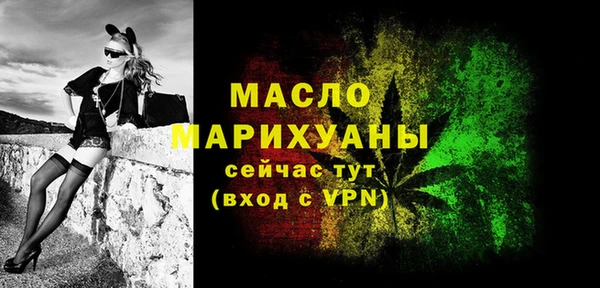 твердый Заводоуковск