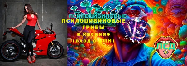 твердый Заводоуковск
