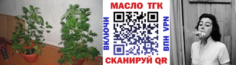 Купить где  Шлиссельбург  ТГК THC oil 