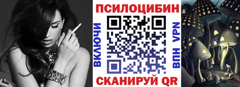 Купить где  Шлиссельбург  Галлюциногенные грибы мухоморы 